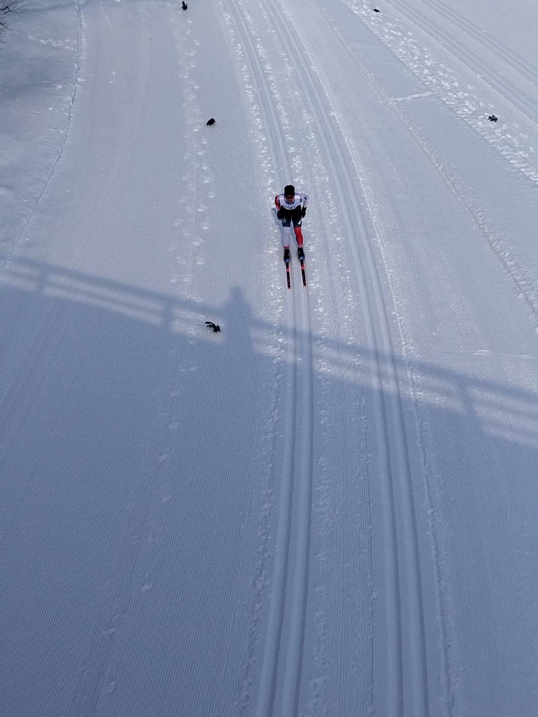 第1回全日本知的障害者スキー競技大会|レース予定・結果|WORLDAC パラスポーツチーム